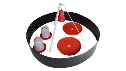 Infrared Electric Chick Brooder