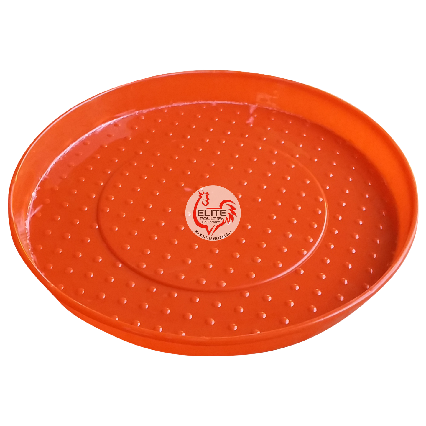 Scratch Feeder Pan for Chicks