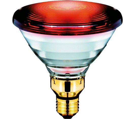 Infrared Heat Lamp